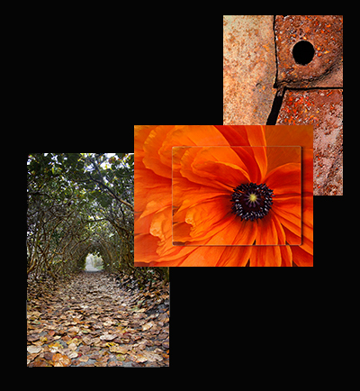 Click the photographs to proceed.