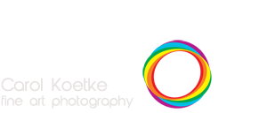 Carol Koetke Photography